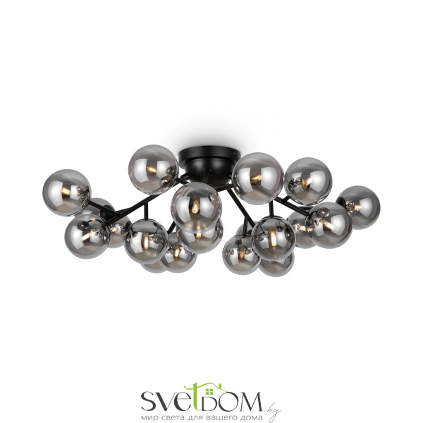 Потолочный светильник Maytoni MOD545CL-20B