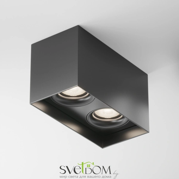 Потолочный светильник Technical C015CL-02B