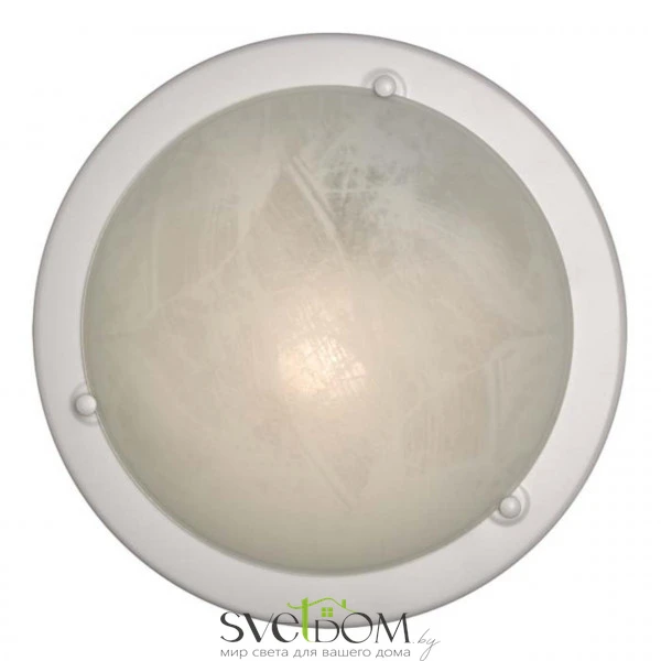 Настенно-потолочные светильники  220 от Магазина Svetdom.by