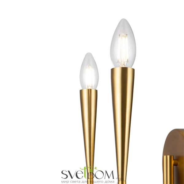 Настенный светильник (бра) Freya FR5253WL-02BS