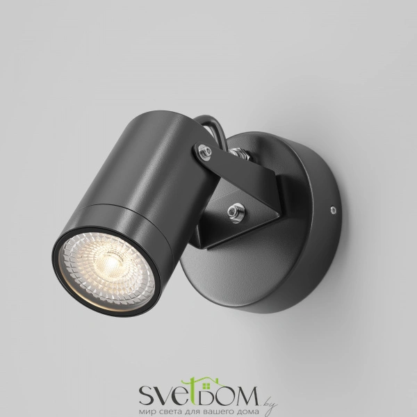 Настенный светильник (бра) Outdoor O025WL-01B