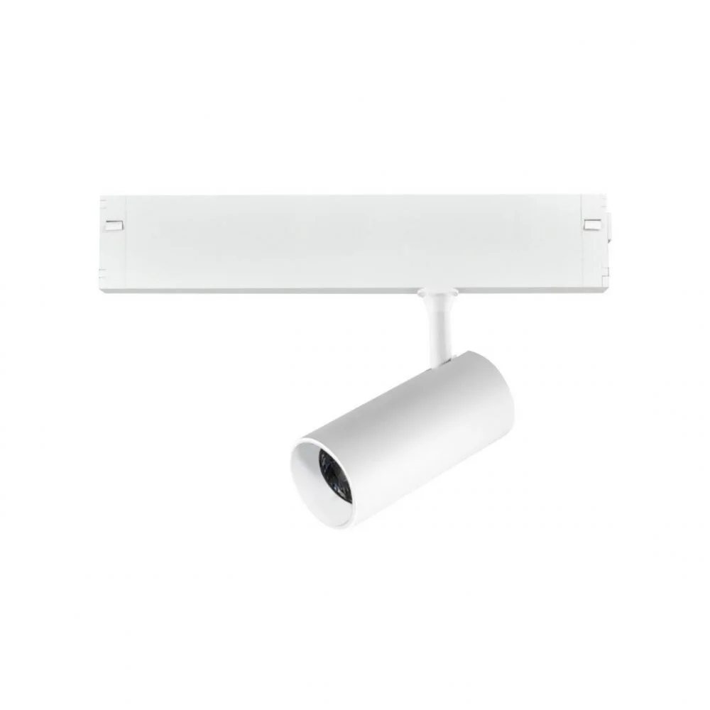 Светильник трековый Aployt  APL.0205.10.20