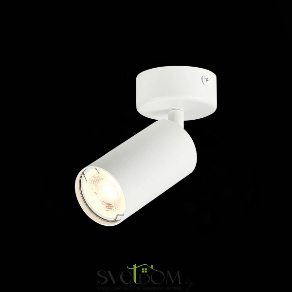 ST303.502.01 Потолочный светильник Белый GU10 1*50W  L100xW54xH168 220V Без ламп Накладные светильники