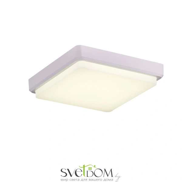 SLE200212-01 Светильник потолочный Белый/Белый LED 1*20W 4000K TADDIO