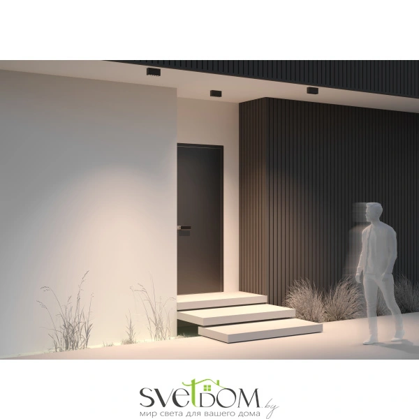 Потолочный светильник Outdoor O309CL-L10GF3K