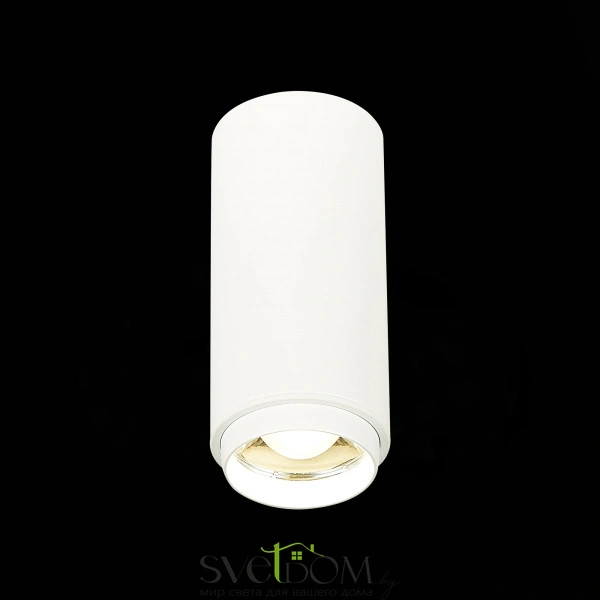 ST600.542.10 Светильник потолочный Zoom Белый LED 1*10W 4000K 1 000Lm Ra>80 15-60° IP20 D59xH130 170 Накладные светильники