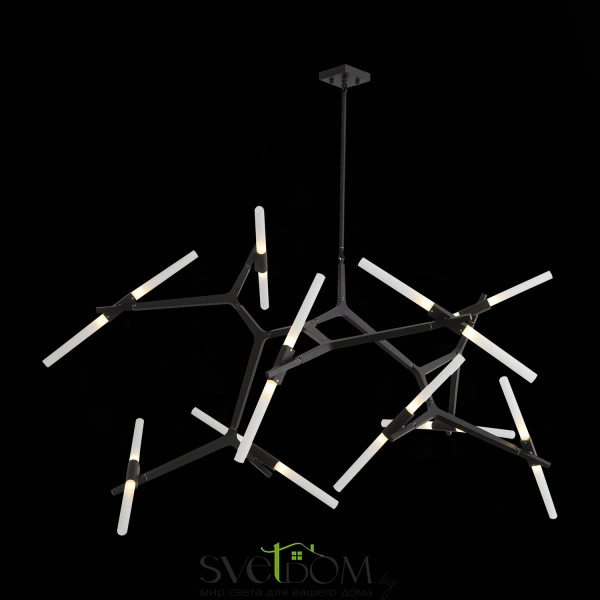 SL947.402.20 Люстра потолочная ST-Luce Черный/Белый G9 20*5W LACONICITA