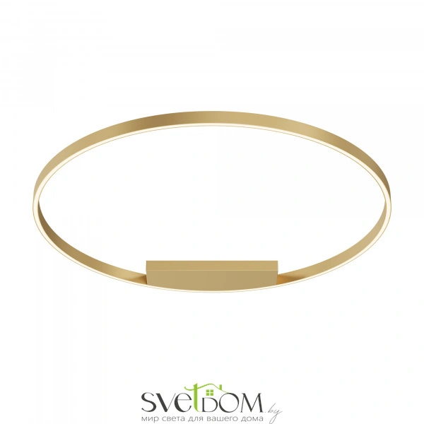 Потолочный светильник Maytoni MOD058CL-L65BSK