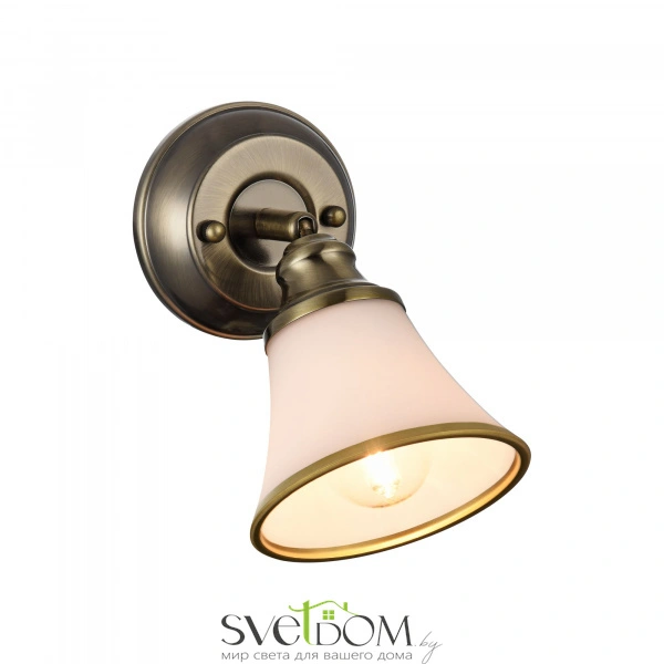 Спот Freya FR2272-WL-01-BS