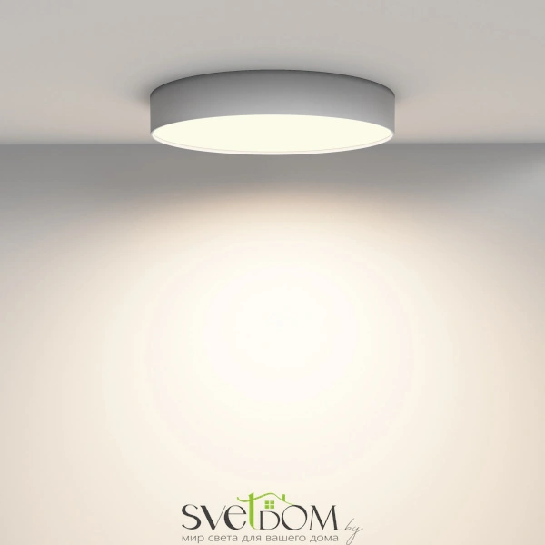 Потолочный светильник Technical C032CL-45W3K-RD-W