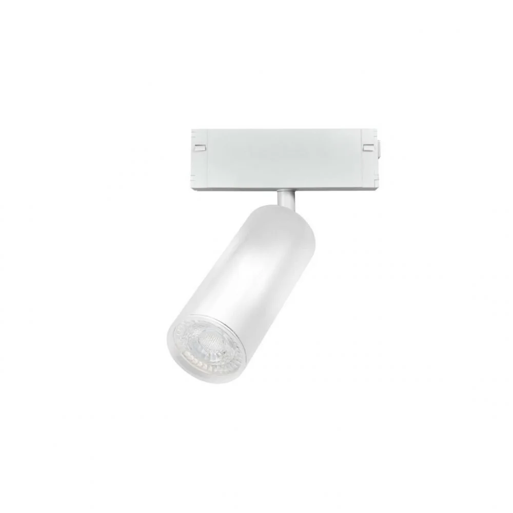 Светильник трековый Aployt  APL.0209.11.01