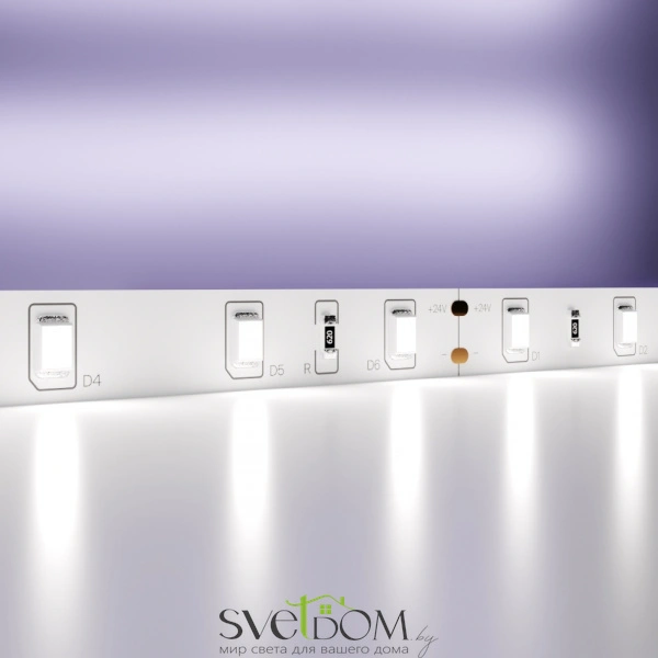 Светодиодная лента 24В 2835 4,8Вт/м 6000K 5м IP20 10138