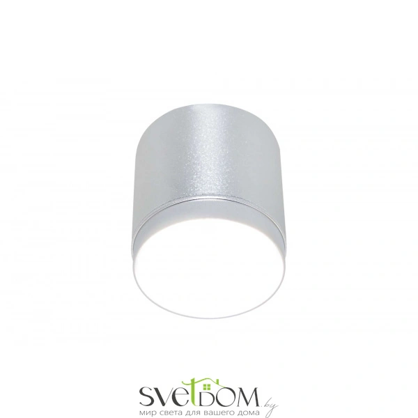 Потолочный светильник Technical C088CL-GX53-S