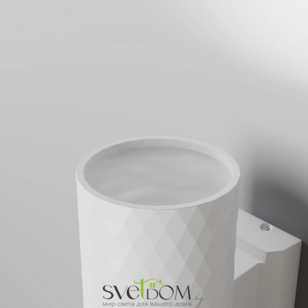 Настенный светильник (бра) Outdoor O583WL-02W