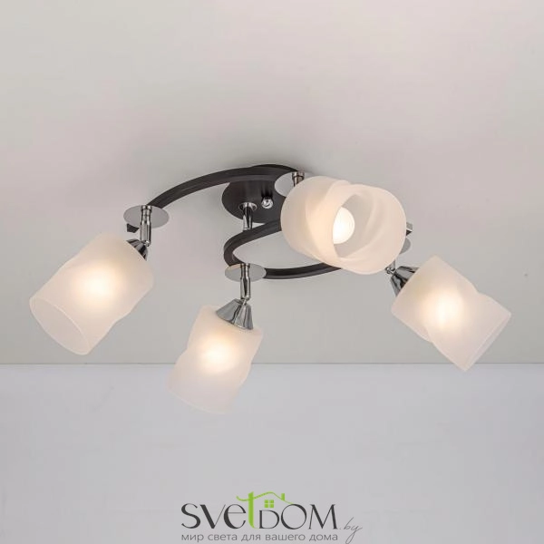 Citilux Сиерра CL119241 Люстра с поворотными плафонами Чёрная