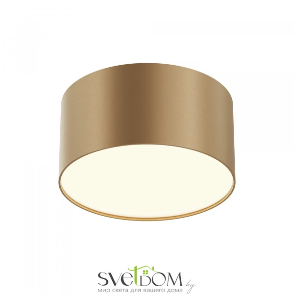 Потолочный светильник Technical C032CL-12W3K-RD-MG