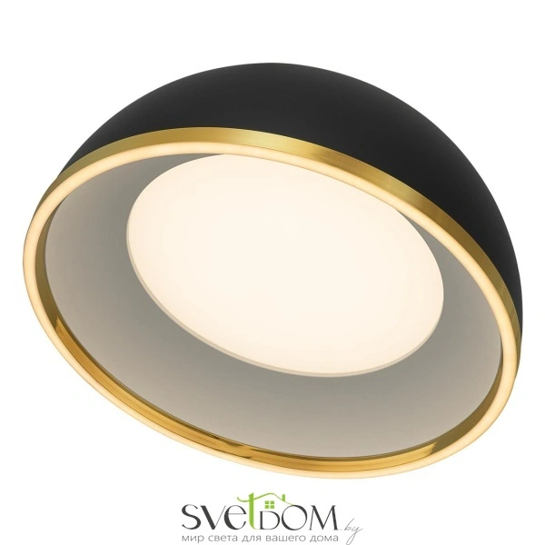 CITILUX CL736151 FLOOM Черный+Золото Светильник Потолочный
