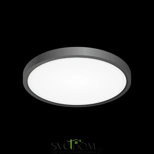 Citilux Бейсик CL738241V Светильник накладной Чёрный