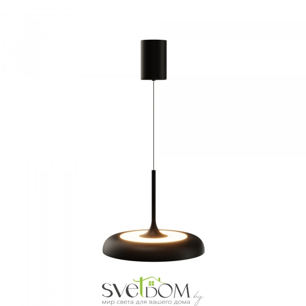 Подвесной светильник Maytoni MOD189PL-L39B3K