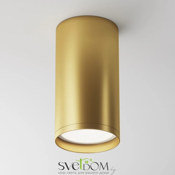 Потолочный светильник Technical C052CL-01MG