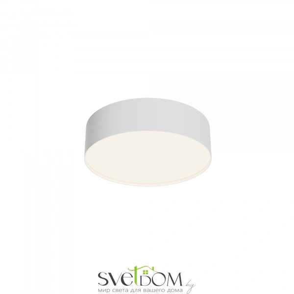 Потолочный светильник Technical C032CL-24W4K-RD-W