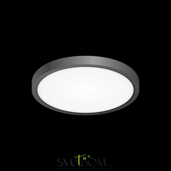 Citilux Бейсик CL738181V Светильник накладной Чёрный