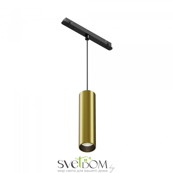 Трековый подвесной светильник Technical TR041-2-12W4K-BBS