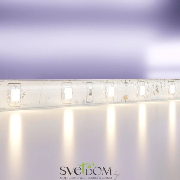 Светодиодная лента 24В 2835 4,8Вт/м 3000K 5м IP65 10139