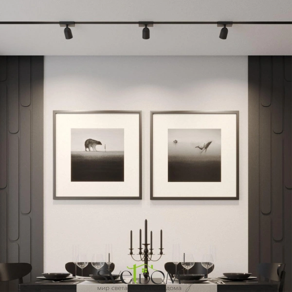 359804 PORT NT25 246 черный Светильник трековый однофазный двухжильный IP20 LED 10W 180-265V 4000К SOLETTE