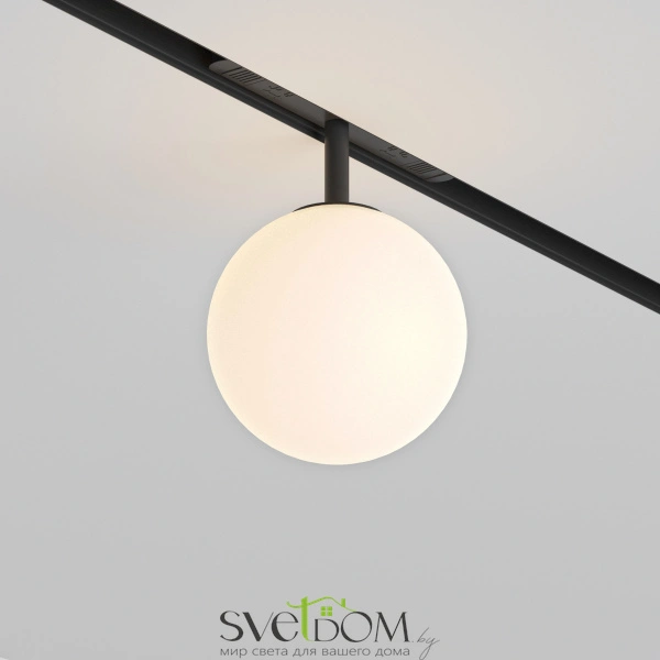 Трековый светильник TR038-2-5W3K