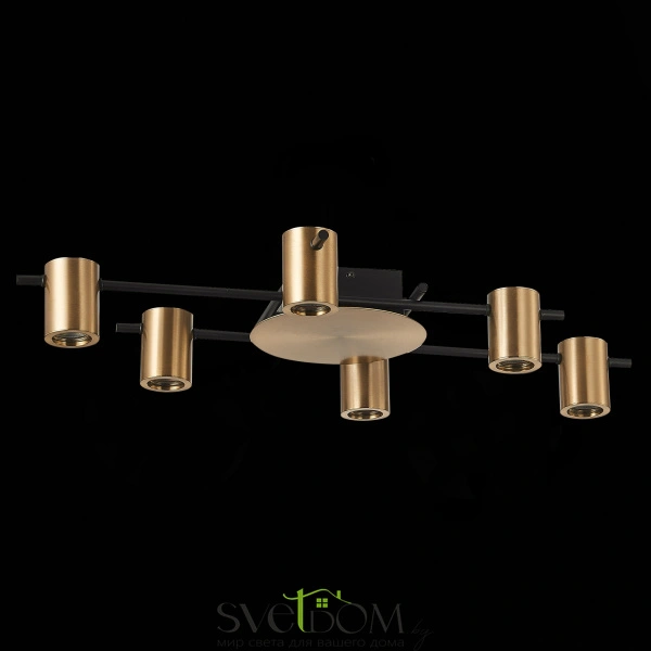 SL1207.402.06 Светильник потолочный ST-Luce Черный/Латунь GU10 6*7W VEROLI
