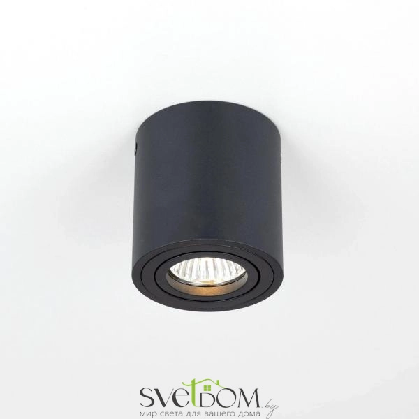 Citilux Дюрен CL538113 Светильник накладной поворотный Черный