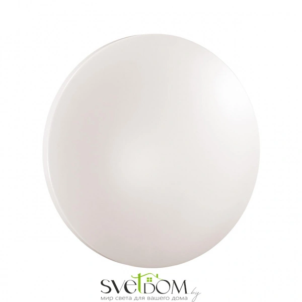 3017/CLN PALE SN 218 Светильник пластик/белый LED 36Вт 4000K D350 IP43 SIMPLE