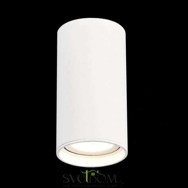ST157.532.15 Светильник потолочный Белый LED 1*15W 3000K 1 200Lm Ra>90 60° IP44 D75xH140 220-265V Накладные светильники