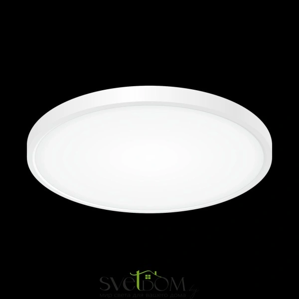 Citilux Бейсик CL738320V Светильник накладной Белый