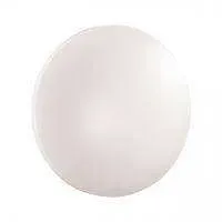 3017/CL PALE SN 171 Светильник пластик/белый LED 30Вт 4000K D350 IP43 SIMPLE