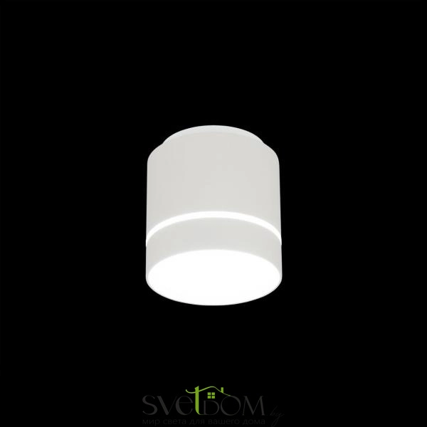 Citilux Борн CL745020N LED Светильник накладной Белый