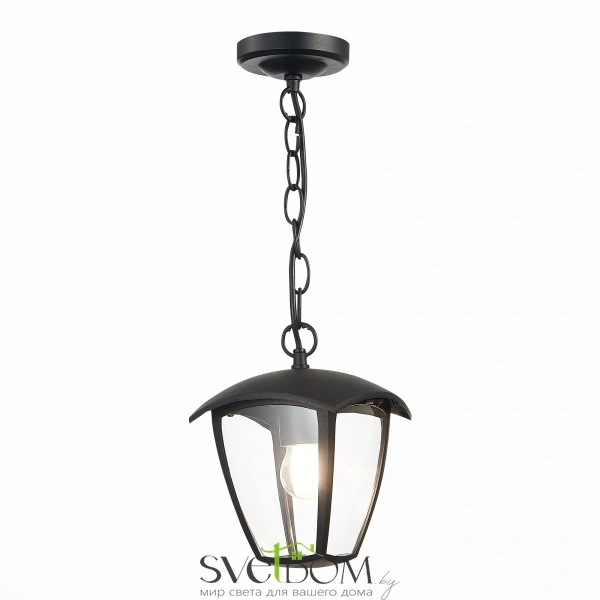 SL081.403.01 Светильник уличный подвесной ST-Luce Черный/Черный, Прозрачный E27 1*40W SIVINO