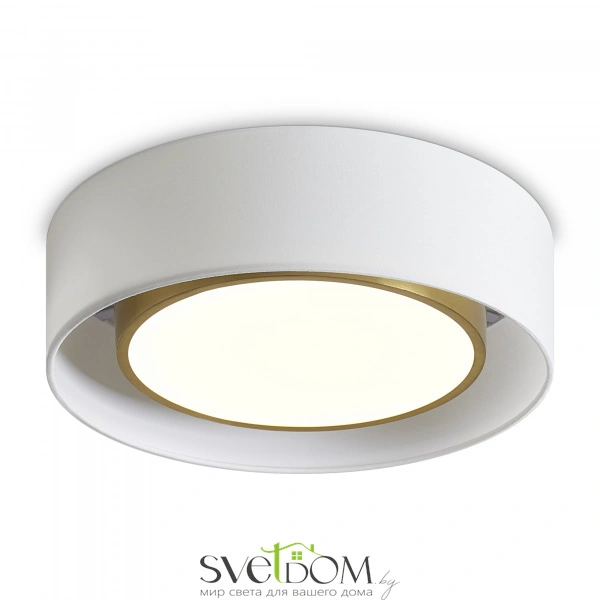 Потолочный светильник Freya FR6170CL-L52BS