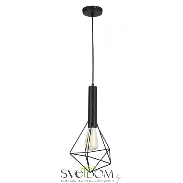 Подвесной светильник Maytoni T021-01-B