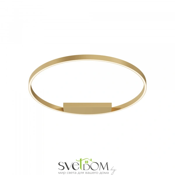 Потолочный светильник Maytoni MOD058CL-L50BSK