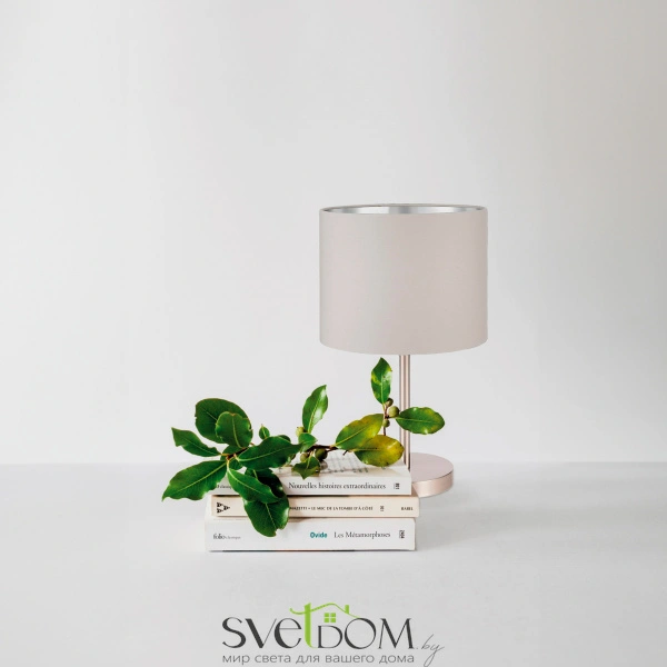 SLE300514-01 Прикроватная лампа Никель/Серый, Серебристый E27 1*40W BRESCIA