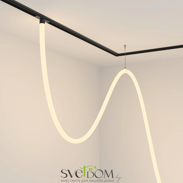 Трековый подвесной светильник TR101-2-100W3K-B