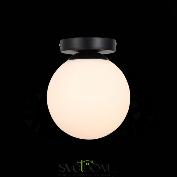 SL717.401.01 Светильник настенный Черный/Белый E27 1*40W ACINI