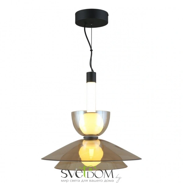 Подвесные светильники Aployt APL.772.06.12 от Магазина Svetdom.by