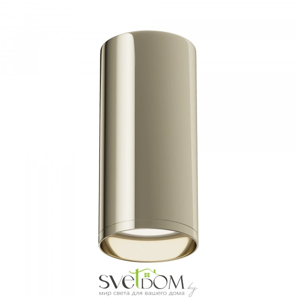 Потолочный светильник Technical C010CL-01G