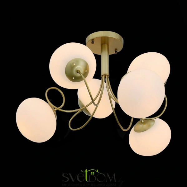 SL717.202.06 Светильник потолочный Золото/Белый E27 6*40W ACINI