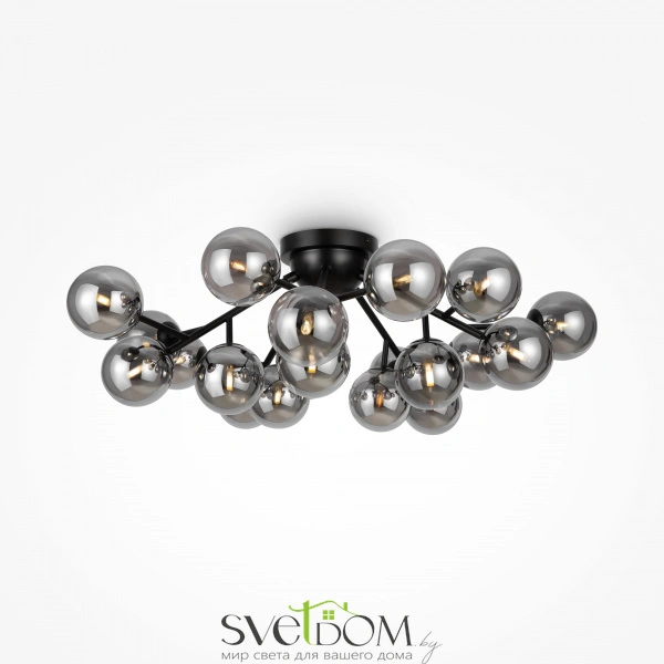 Потолочный светильник Maytoni MOD545CL-20B