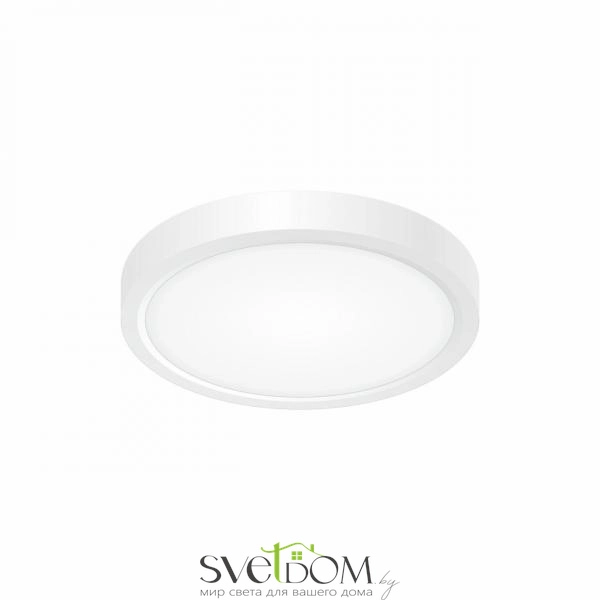 Citilux Бейсик CL738120N Светильник накладной Белый