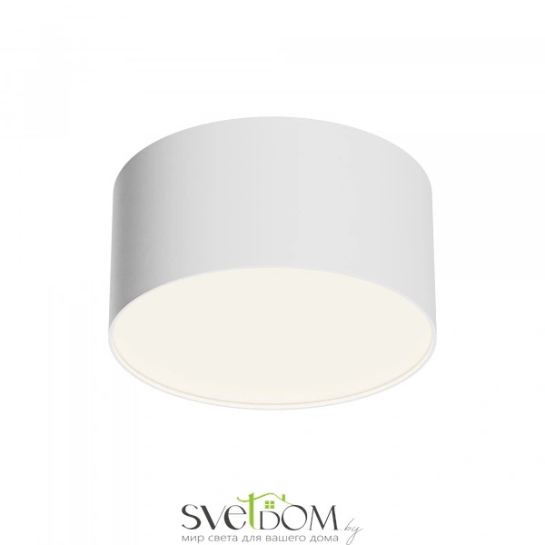 Потолочный светильник Technical C032CL-12W4K-RD-W